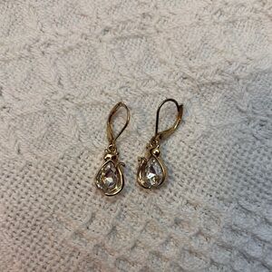 Gold Cat Teardrop Crystal Earrings